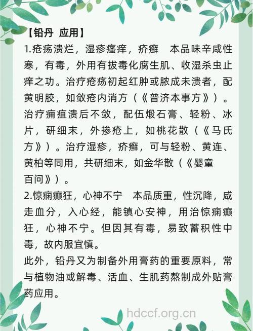 铅中毒的中医解毒方