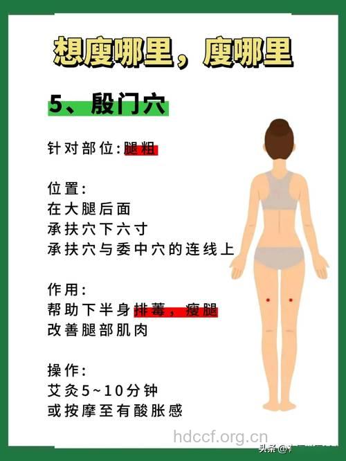 哪些体质适宜针灸减肥