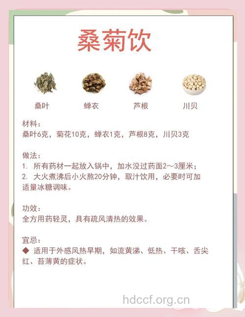 感冒治疗妙方――桑菊酒