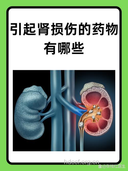 哪些药物可引起肾脏损害?