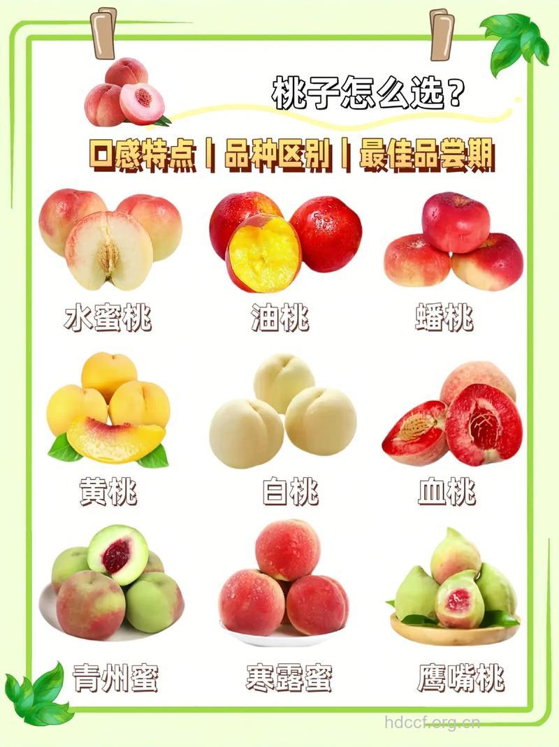 夏季怎么吃油桃减肥