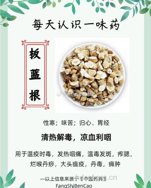 过服板蓝根 小心伤脾胃