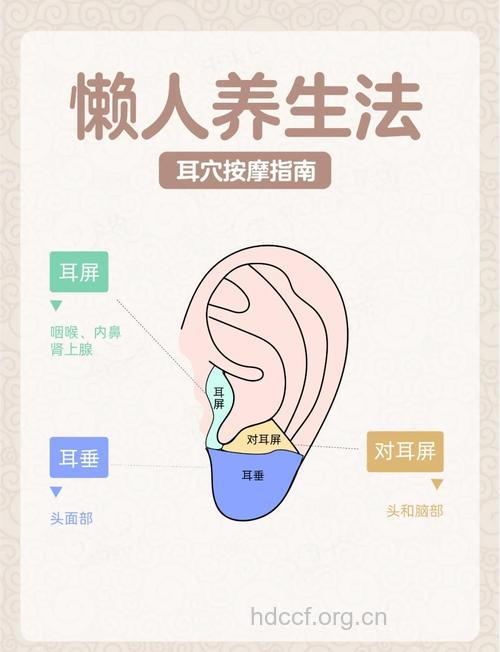 中医怎么耳疗脐疗减肥