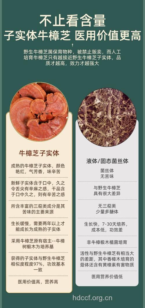 牛樟芝的成分有哪些