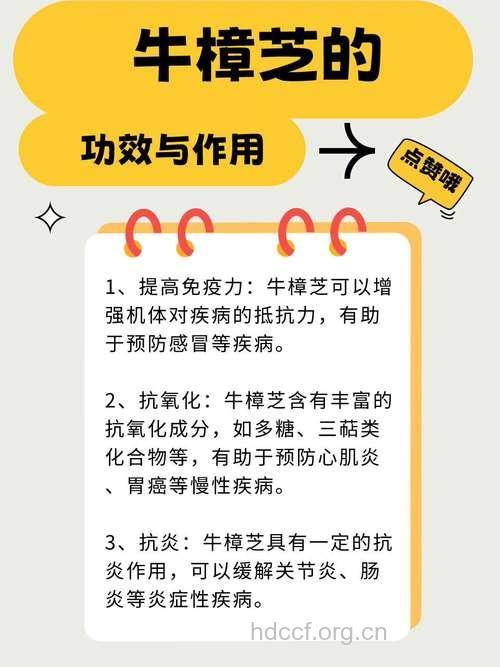 牛樟芝的作用有哪些
