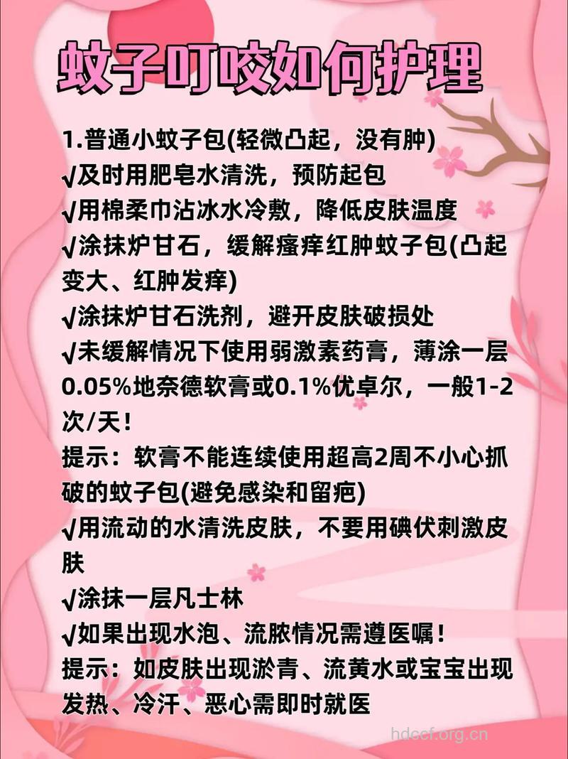 不慎被毒蚊虫叮咬后怎么办?