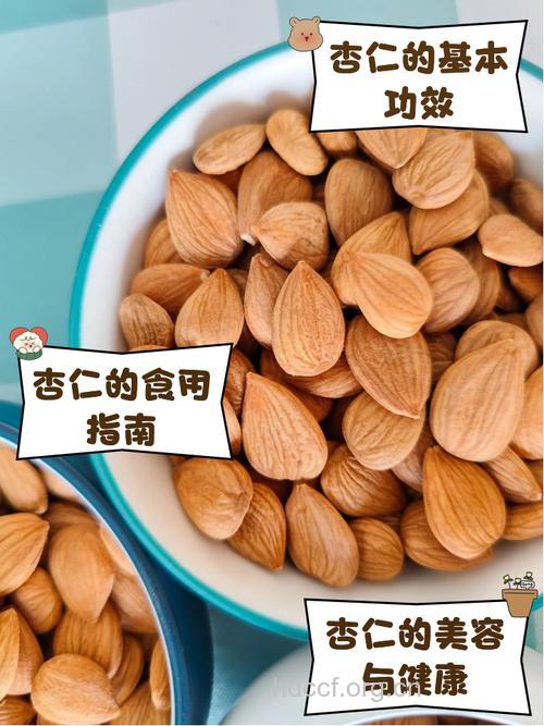 夏季吃杏仁美容又减肥