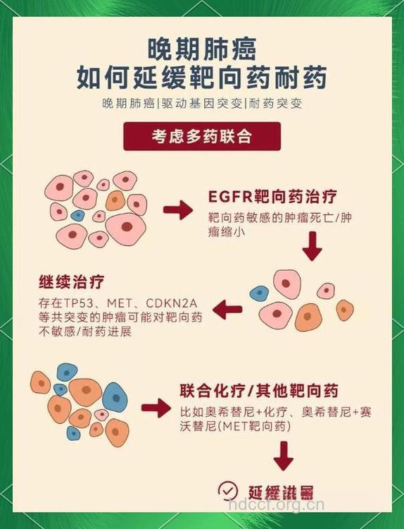 靶向药物降低肿瘤进展风险