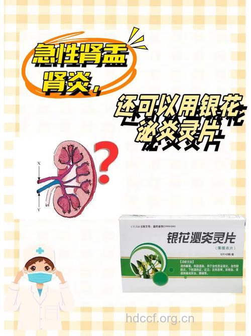急性肾盂肾炎如何用药