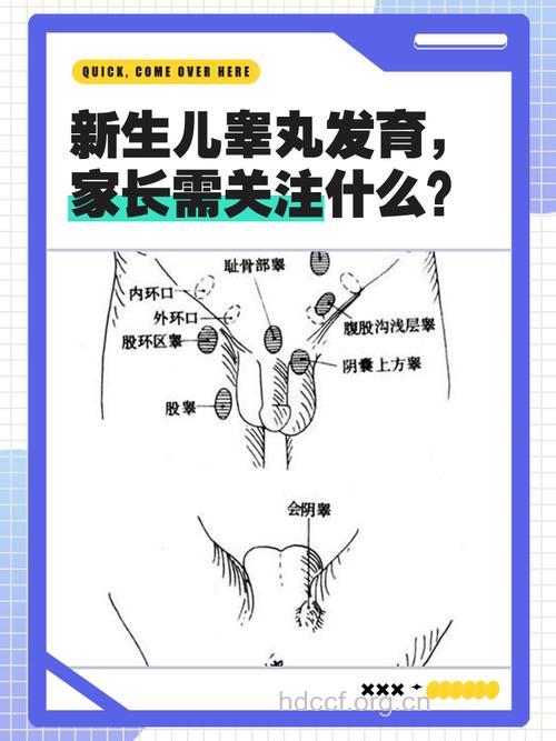 如何治疗先天性睾丸发育不全？