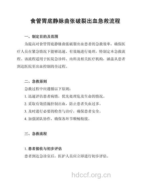 食管静脉曲张破裂出血的治疗措施