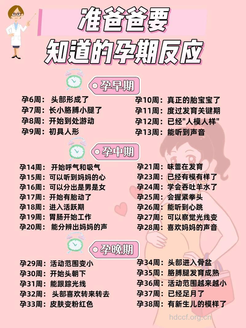 准爸爸孕前要注意些什么？