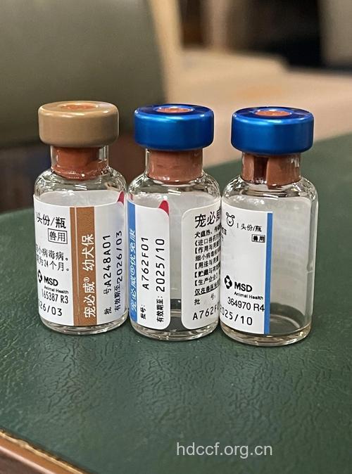 DNA疫苗治疗慢性丙型肝炎前景广阔