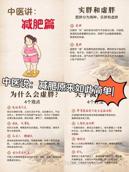 中医如何分人群减肥