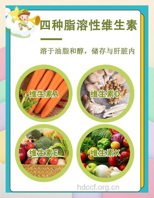 老年人应适当补充脂溶性维生素