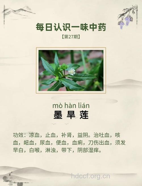 治疗老年痴呆的六种中药
