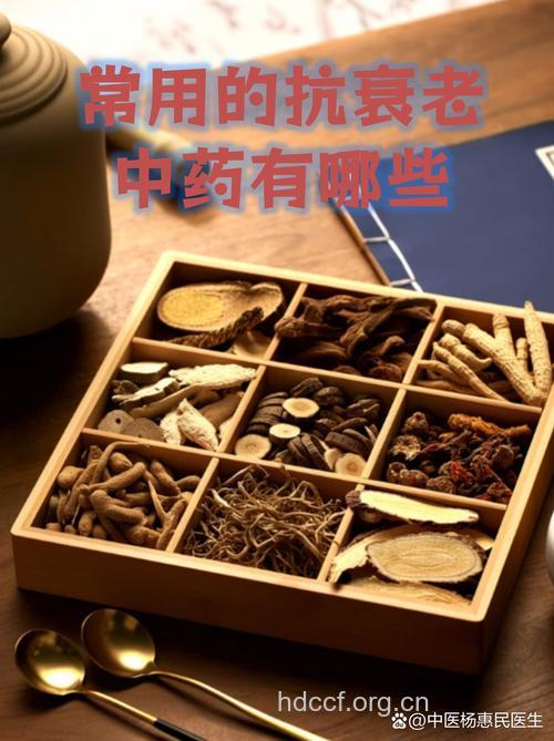 抗衰老的传统中药分类