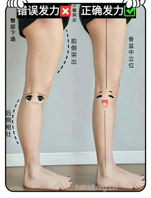 上班族的MM远离大象腿