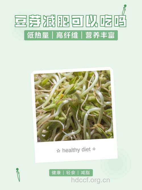 减肥能吃黄豆芽吗