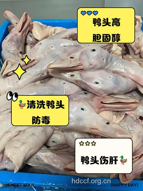 减肥能吃鸭头吗