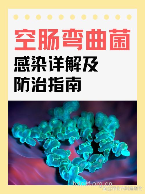 空肠弯曲菌腹泻该如何治疗?