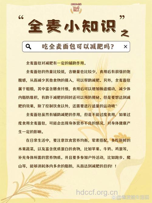 减肥可以吃面包吗