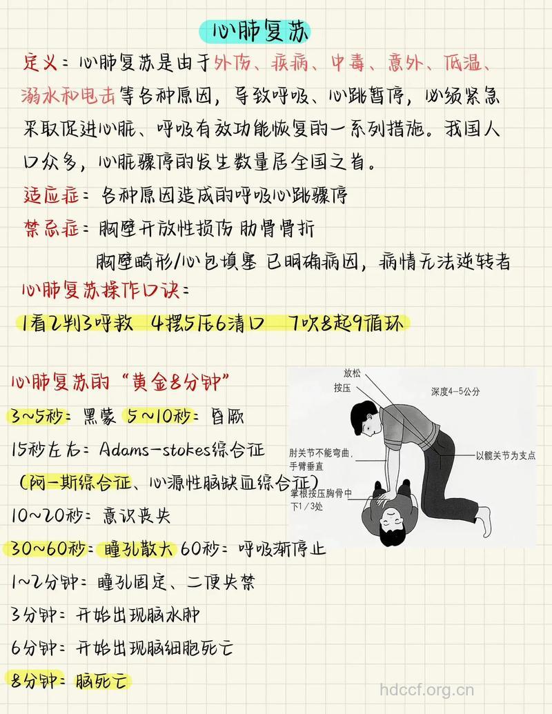 心肺复苏知识你知道吗