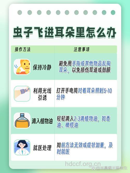 蚊虫飞进耳朵怎么办