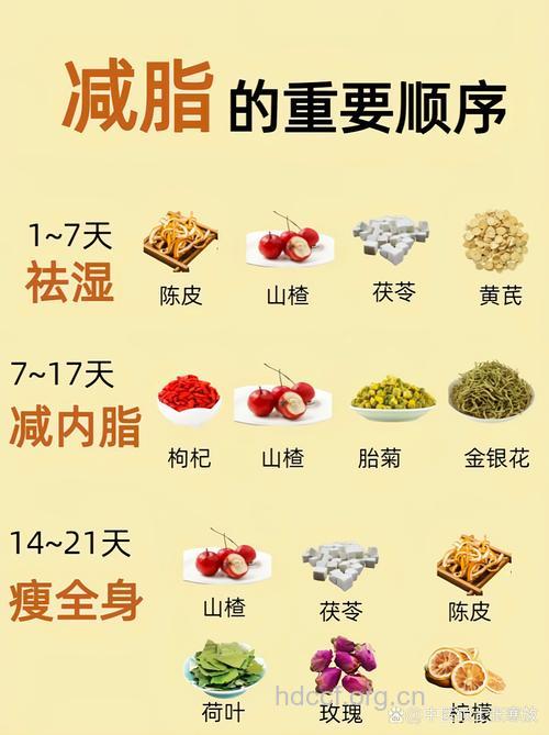 让你每天都能瘦的中医减肥