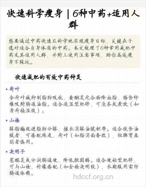 中药减肥主要适合哪些人群？