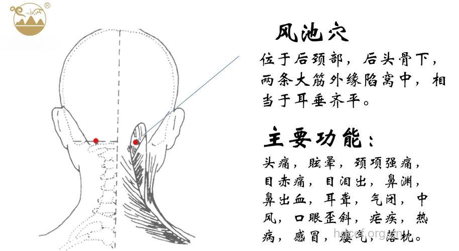 针灸减肥 警惕穴位疲劳