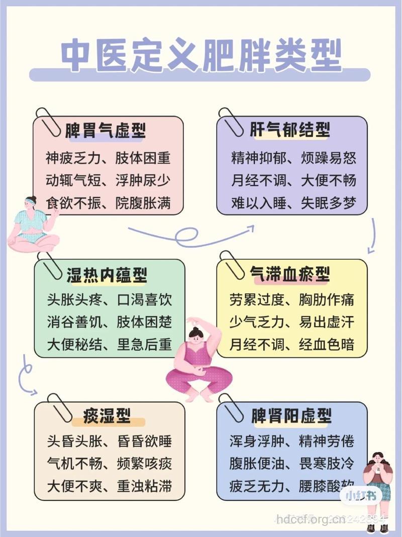 中医对肥胖原因的分析