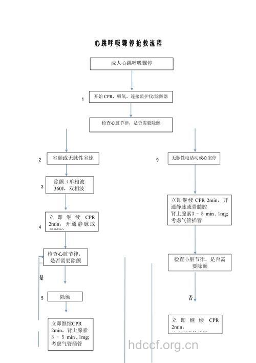高速惊魂20分 呼吸心跳骤停怎么急救