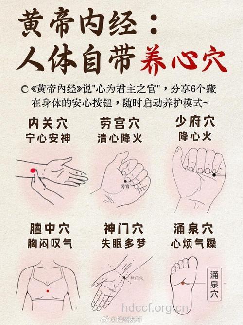 点穴按摩 美体养生心法