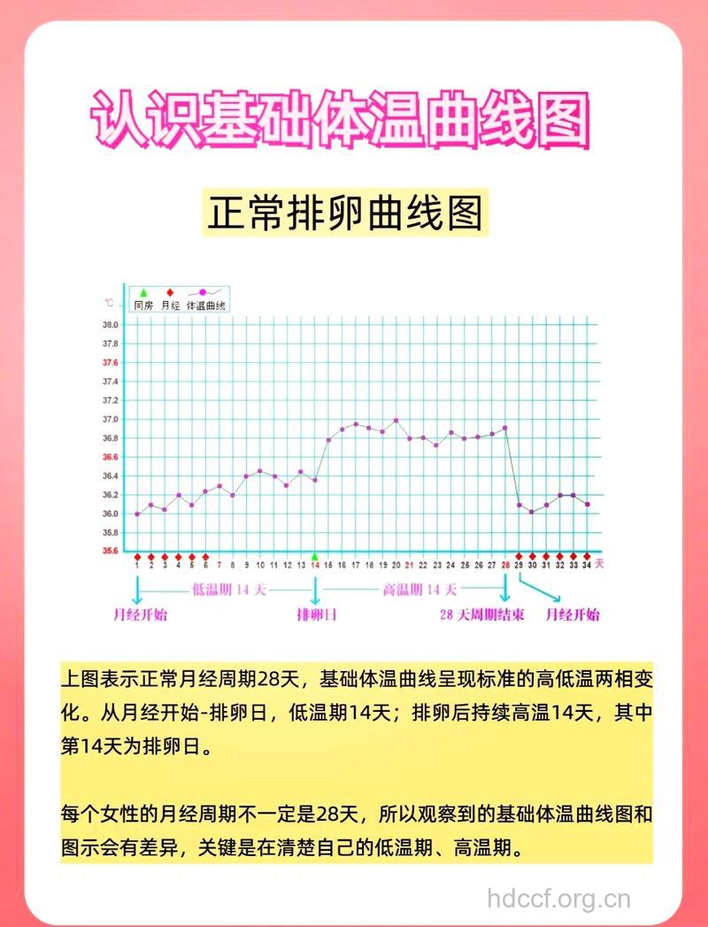 孕早期流产症状 流产基础体温曲线图
