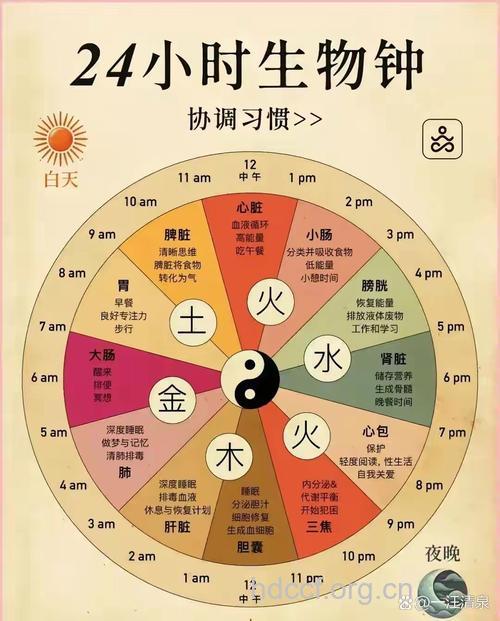 “神奇生物钟”帮你优生