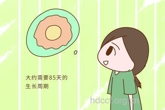备孕成功经验分享 三个月成功怀孕