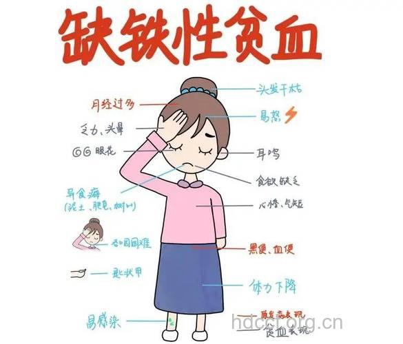 怀孕5个月孕妇如何预防贫血