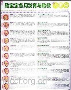 怀孕两个月的胎教要点