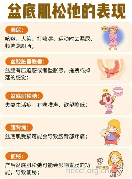 什么是盆底肌?盆底肌损伤致使阴道松弛