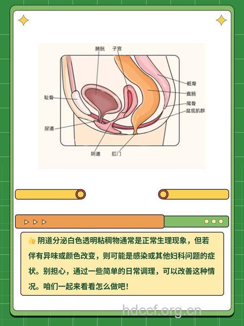 女人排卵有什么感觉 阴道分泌物会增加