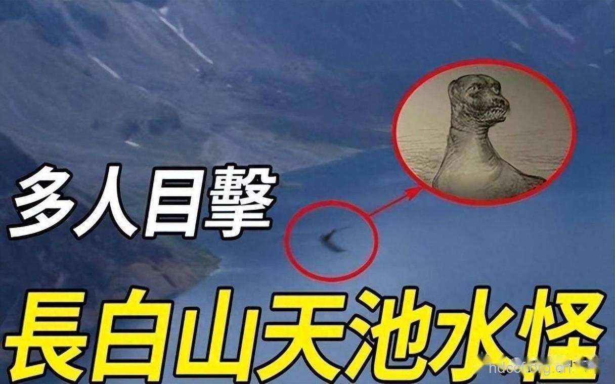长白山天池怪兽再露面 实图