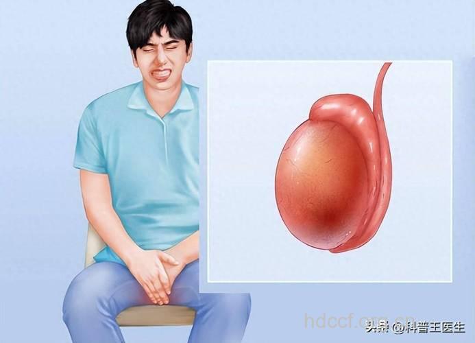 为什么会勃起后小腹痛