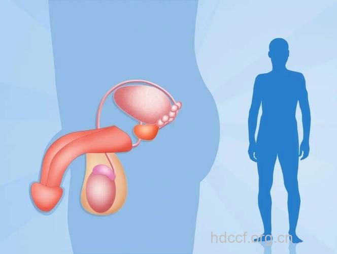 男性生殖器感染自测和治疗原则