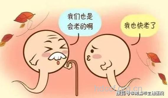 男性精液与宫颈糜烂关系