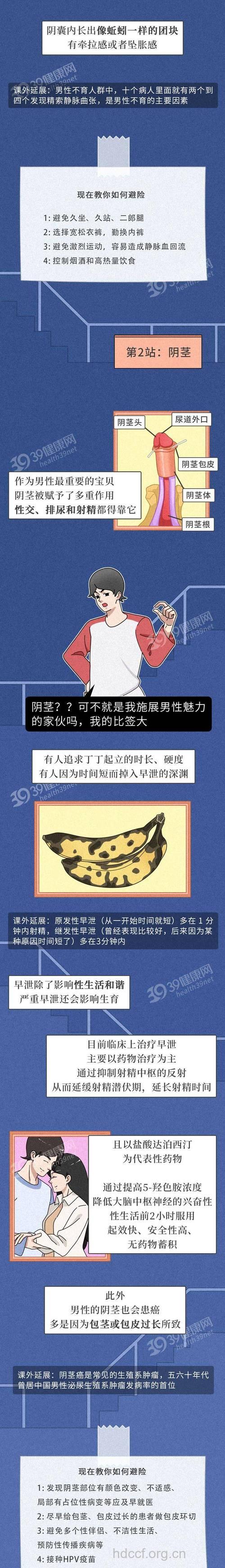 生殖器大小与男性不育有关系吗?