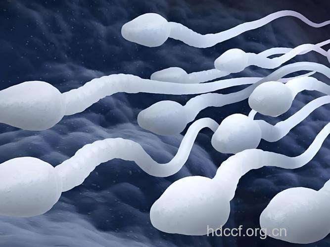 精子透露男性生殖健康的“隐私”