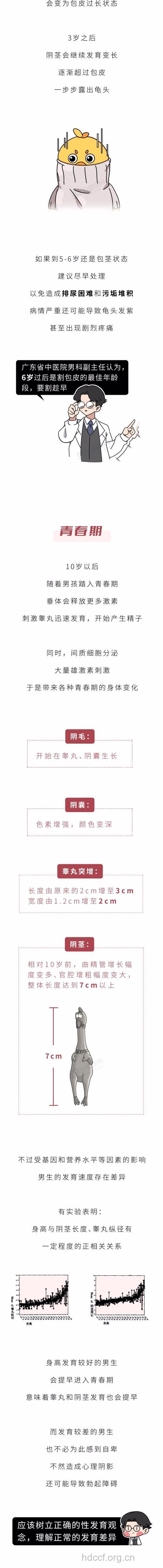 男人私处也会衰老 防止阴茎衰老记得多按摩