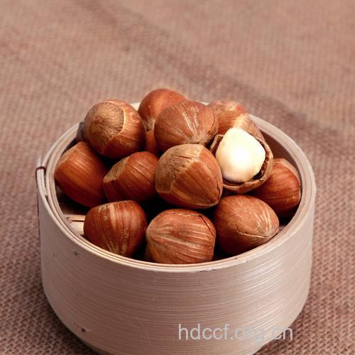 能吃死人的11种常见食物