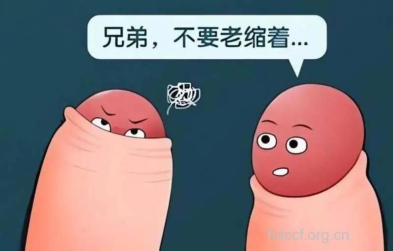 铅污染对男性生殖力的影响
